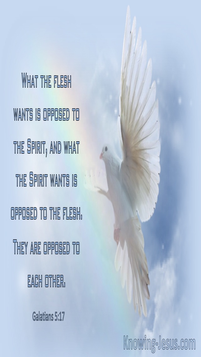 Galatians 5:17 What The Flesh Wants Is Opposed To What The Spirit Wants (windows)01:15